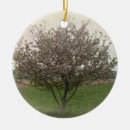 Search for apple blossom ornaments Nature