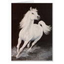 Recherche de cheval arabe blanc cartes postales Étalon