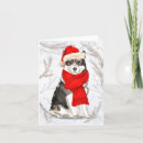 Search for malamute christmas cards Dogs