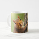 Search for cute squirrel mugs Humour