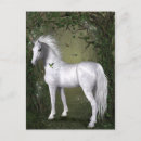 Search for the enchanted horse postcards Forest