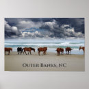 Recherche de outer banks posters Corolla