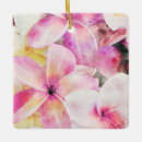 Search for plumeria ornaments Pink
