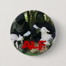 Recherche de alf Animaux