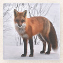 Recherche de renard rouge dessous de verres Arbres