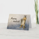 Search for funny squirrel birthday cards Humor