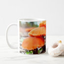 Search for wild mushroom mugs Fungi