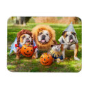 Search for halloween magnets Funny