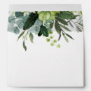 Search for eucalyptus envelopes 5x7