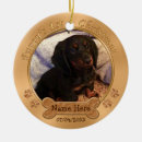Recherche de ęr noël Chiot