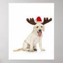 Recherche de atelier de noël posters Mignonette