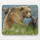 Search for cuddles and electronics Bear