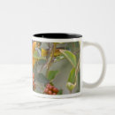 Search for baltimore orioles mugs Wildlife