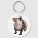Search for cute pig keychains Pet