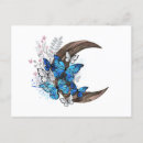 Search for blue morpho postcards Butterflies