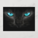 Recherche de visage de chat cartes postales Noir