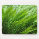 Search for lush green mousepads Leaves