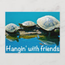 Search for feel horizontal postcards Nature