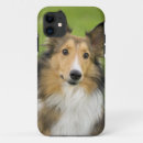 Search for rough collie iphone cases Pet