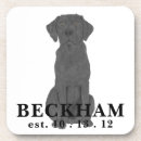 Search for labrador coasters Black lab