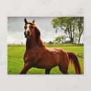 Recherche de galoper cartes postales Pour enfants