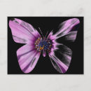 Search for grandmothers postcards Nature