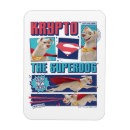 Search for krypto magnets Dc league of superpets