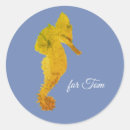 Search for fun fishes stickers For kids