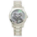 Recherche de koala ours montres Marsupial