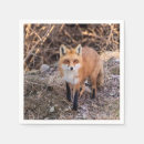 Recherche de renard rouge serviettes Mammifère