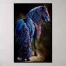 Search for stallion horses posters Friesian
