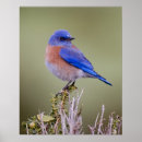 Recherche de azul posters Nature
