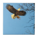Search for wings tiles Home