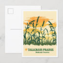 Search for tallgrass National preserve