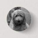 Search for backyard round buttons Cute