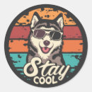 Search for stay cool stickers Trendy