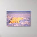 Search for nwr canvas prints Pack ice