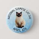 Search for siamese buttons Cat
