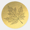 Search for leaf background stickers Maple