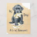 Recherche de la flandre cartes postales Bouvier des flandres