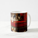 Search for kitten playing mugs Cute