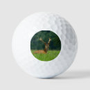 Search for deer antlers golf balls Wildlife