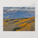 Search for aspen postcards Rocky mountain