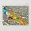 Recherche de conception de paon posters Nature