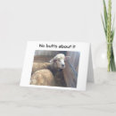 Search for jokes about aging Birthday