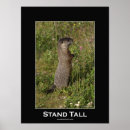Recherche de tall posters Nature
