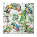 Recherche de perroquet carreaux Oiseaux