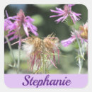Recherche de lilac autocollants Nature