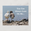 Search for lean postcards Funny