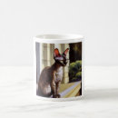 Recherche de compagnon animal tasses Chat